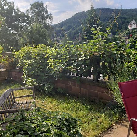 Panorama-Blick Miltenberg, 3 Pers., Zentr., Am Main, Terrasse, Bootverleih, P Bagian luar foto