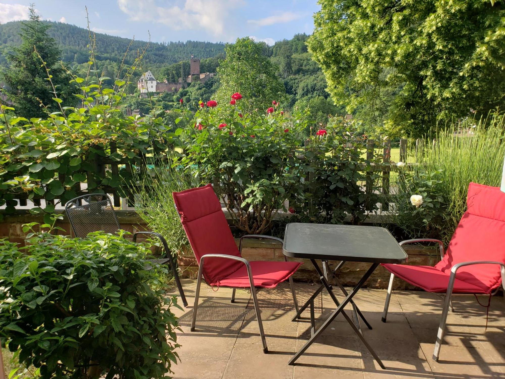 Panorama-Blick Miltenberg, 3 Pers., Zentr., Am Main, Terrasse, Bootverleih, P Bagian luar foto