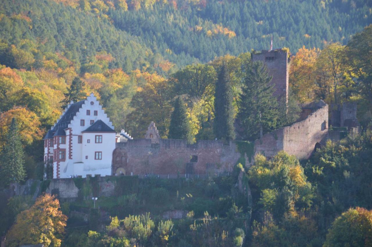 Panorama-Blick Miltenberg, 3 Pers., Zentr., Am Main, Terrasse, Bootverleih, P Bagian luar foto