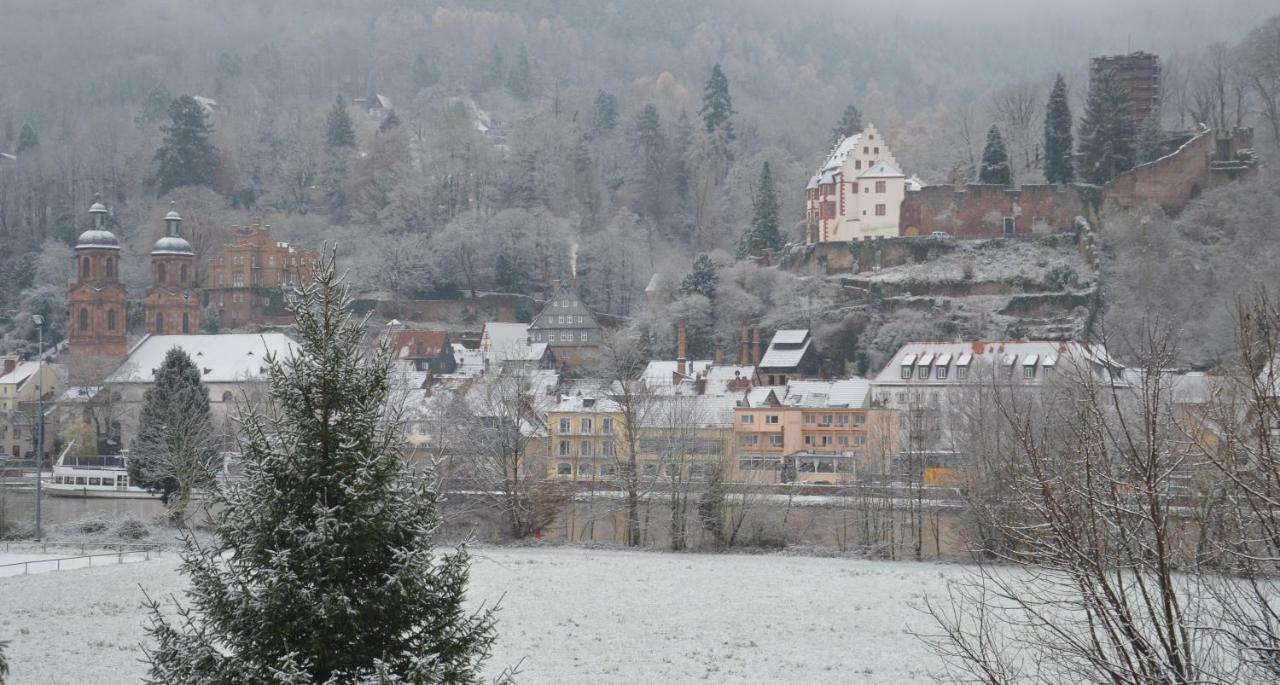 Panorama-Blick Miltenberg, 3 Pers., Zentr., Am Main, Terrasse, Bootverleih, P Bagian luar foto