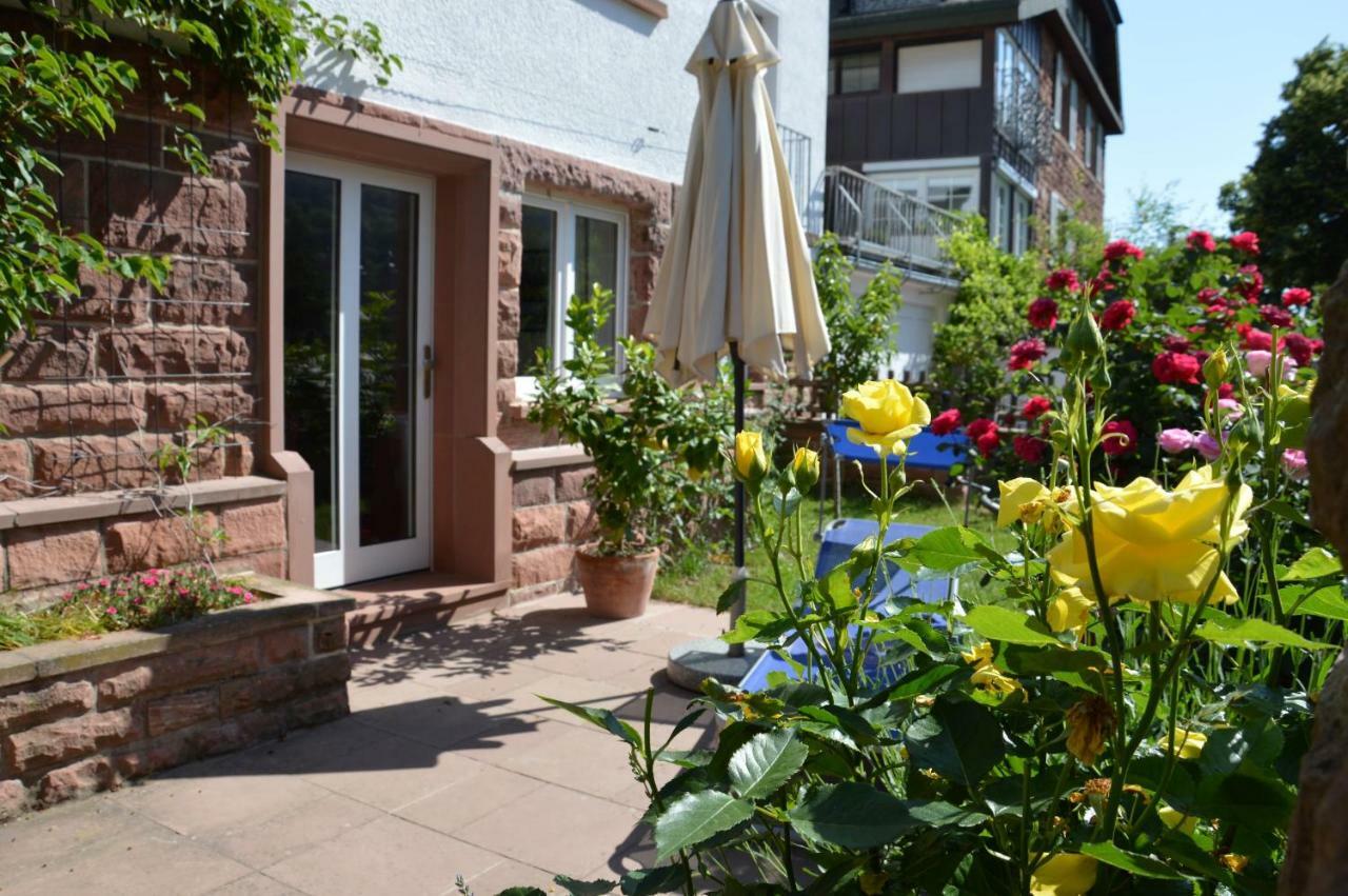 Panorama-Blick Miltenberg, 3 Pers., Zentr., Am Main, Terrasse, Bootverleih, P Bagian luar foto